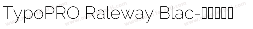 TypoPRO Raleway Blac字体转换
